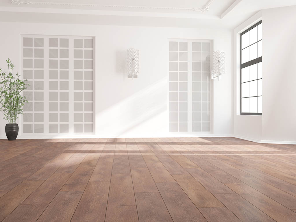 modern empty room with plant,plinth